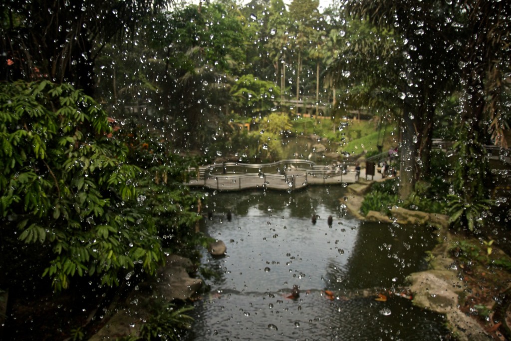 Behind the waterfall